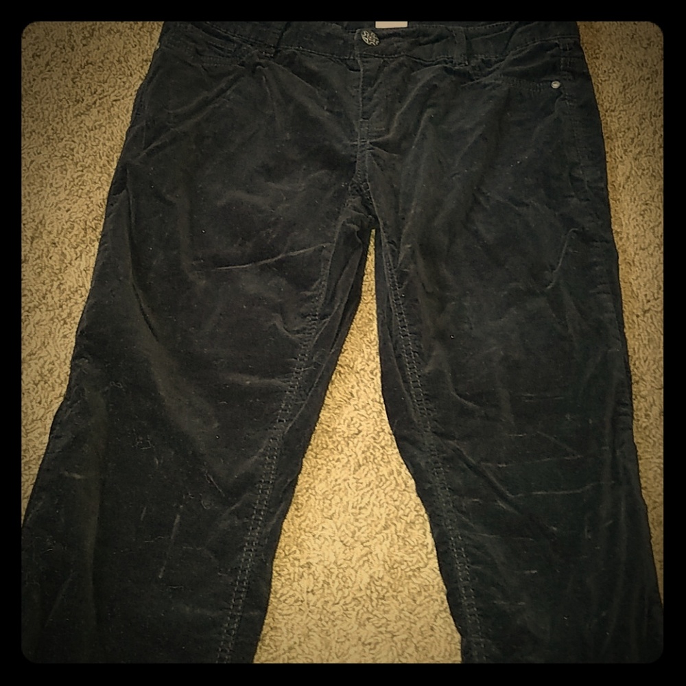 Black velvet jean style pants